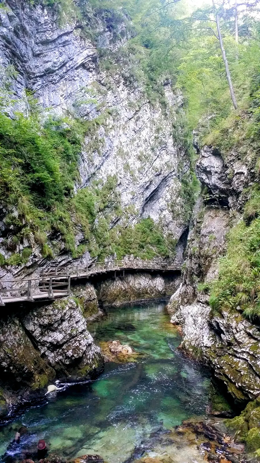 The suspended wooden walkways above the turquoise water of Vintgar Gorge